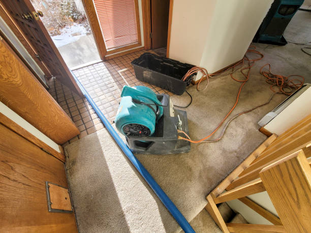 Best Basement water damage restoration  in Troy, TX