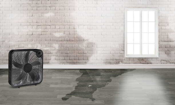  Troy, TX Water damage restoration Pros
