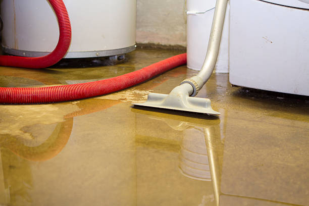 Best Water damage restoration near me  in Troy, TX
